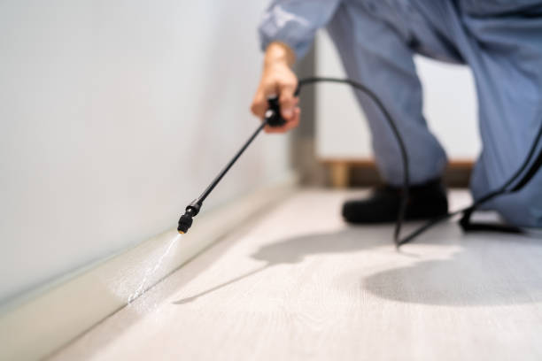 Licensed Pest Control service in Fairview, MT - Show Me Pest Control