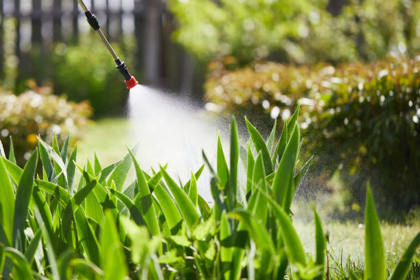 24/7 Emergency Mosquito Control experts in Fairview, MT